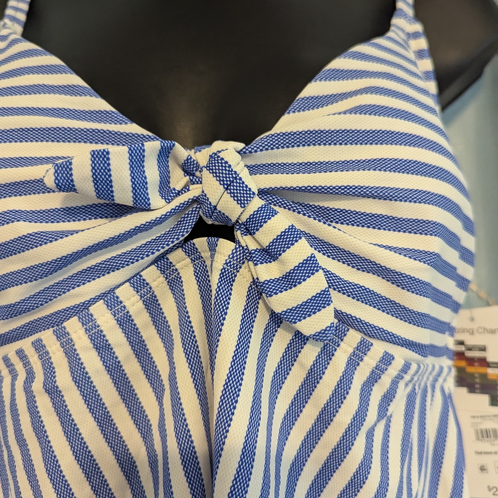 32. Time and Tru Blue and White Striped Swimsuit - Picture 3 of 5
